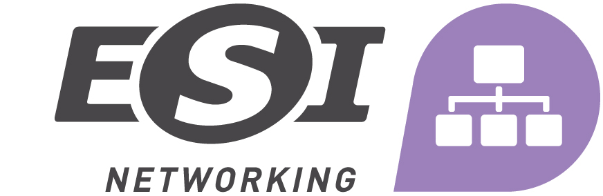 Logo département réseau ESI
